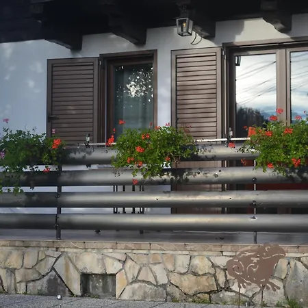 Mountain & Dağ evi *